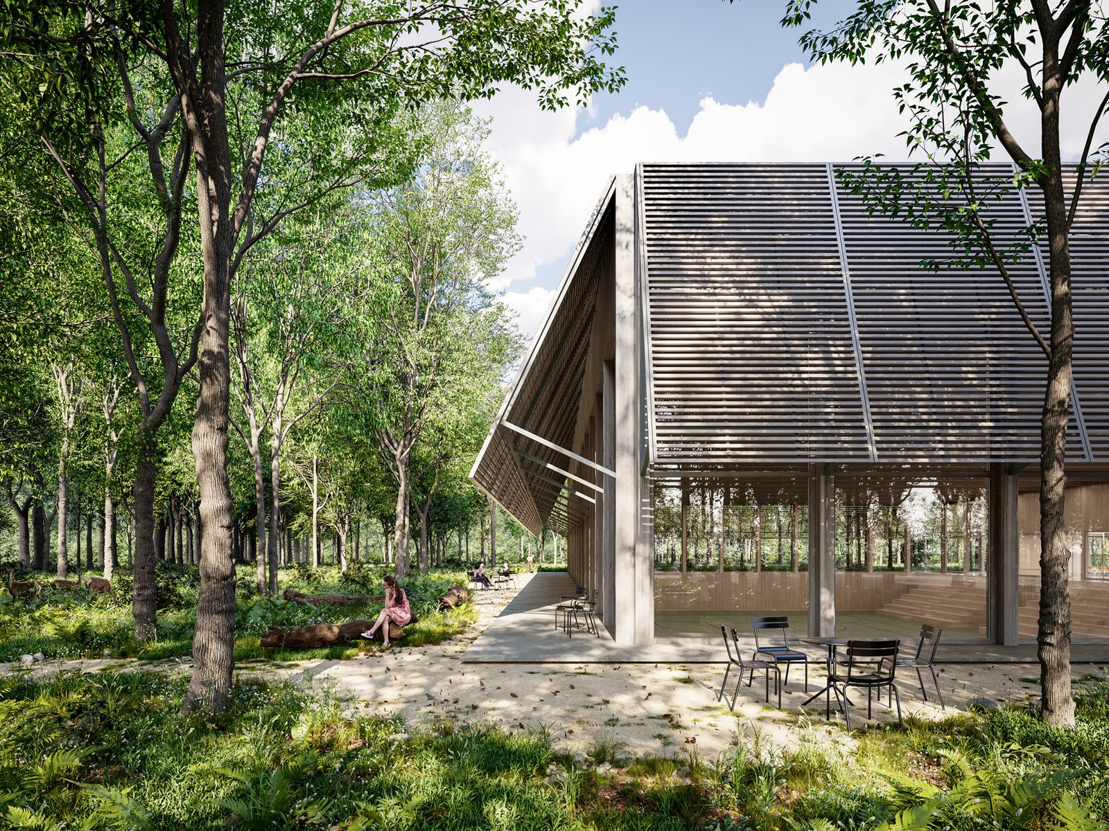 scuola media for NOSU Architekten, Gordola CH, visualization 2 of 3